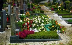 Какие цветы посадить на могиле на кладбище?