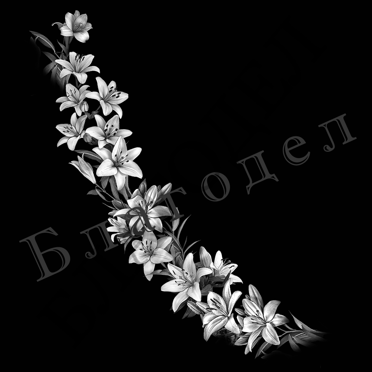 Цветы № 29 лилии