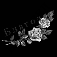Цветы № 39 розы